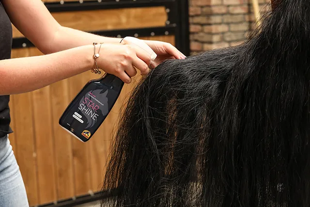 Cavalor Care Star Shine spray pelage brillance cheval