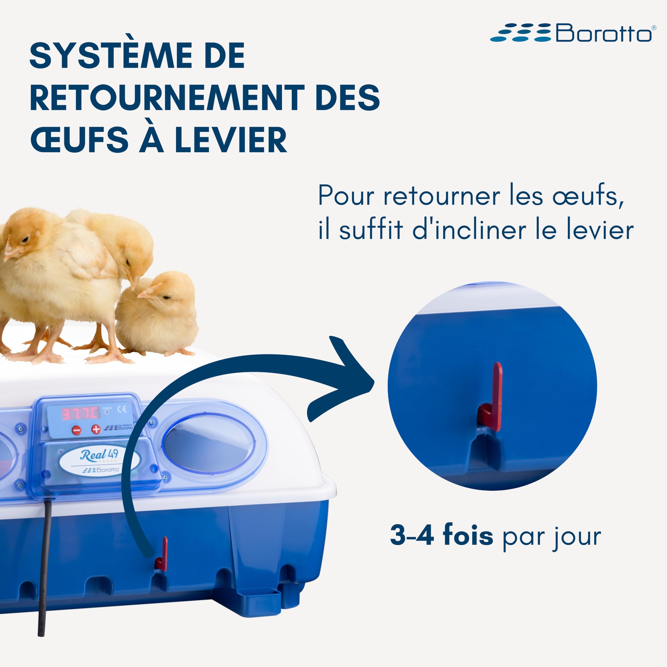 Borotto Real 49 couveuse semi-auto 49 œufs à levier