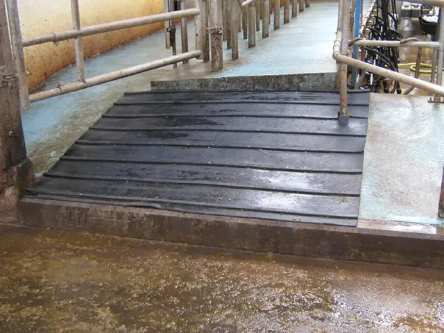 IDS RAMP revêtement rampe bétaillère caoutchouc tasseaux