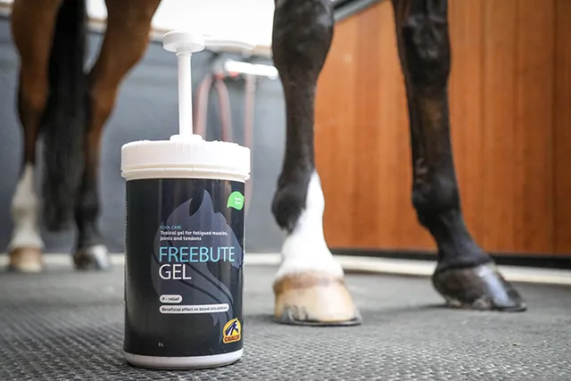 Cavalor FreeBute Gel soin jambes cheval tendons