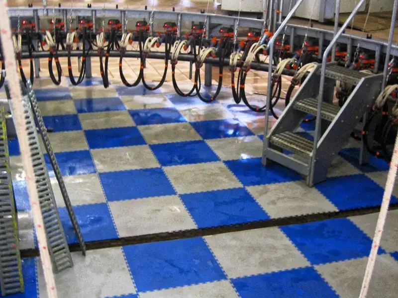 IDS IDEX dalle laiterie PVC clipsable antidérapante