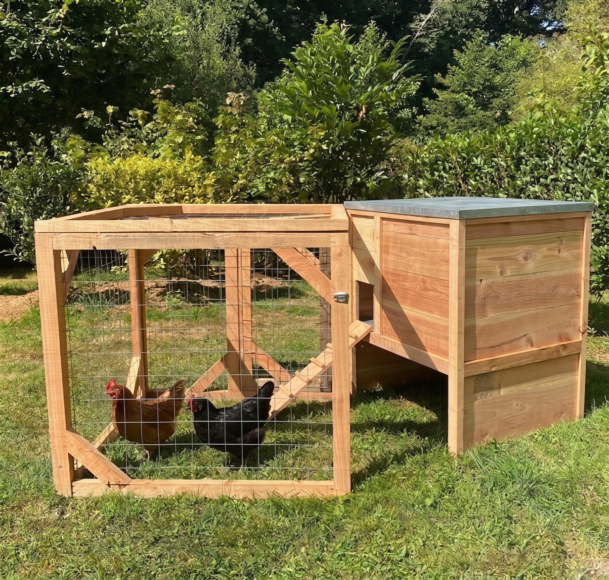Cot Cot House Houdan kit poulailler 4 poules volière bois