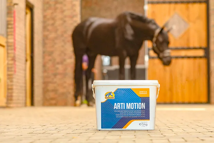 Cavalor Arti Motion complément articulations cheval