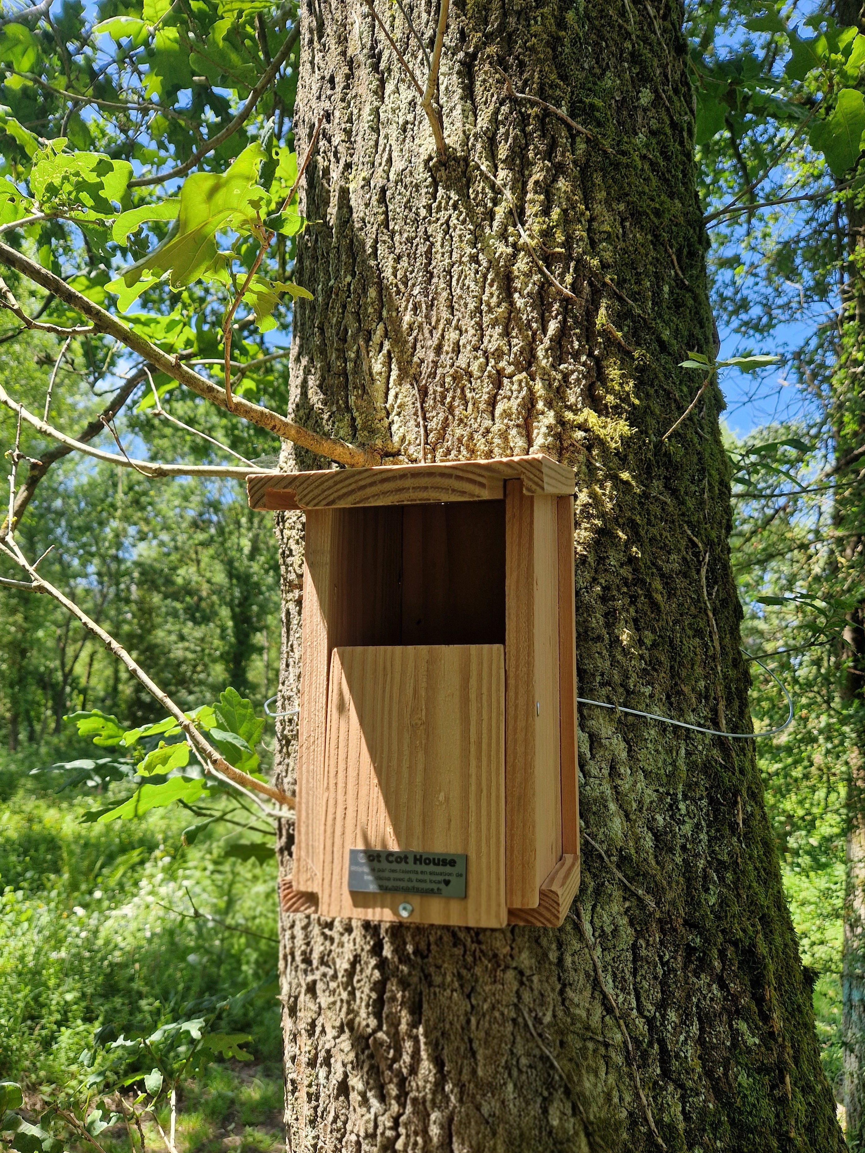 Cot Cot House Nichoir oiseaux kit rouge-gorge bois à monter
