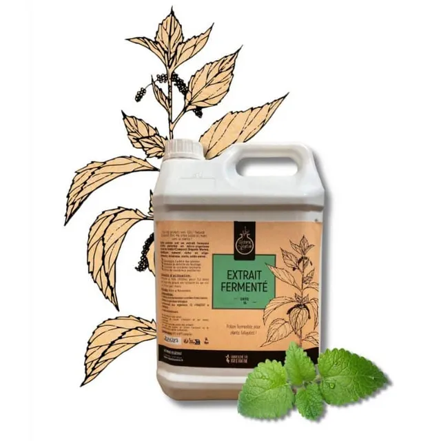 Cot Cot House Ortie extrait fermenté 1 L engrais naturel