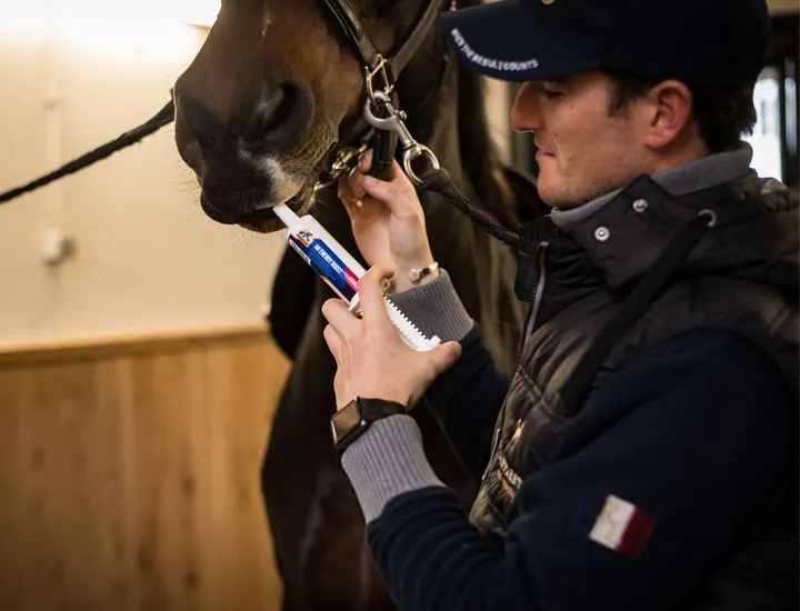 Cavalor Energy An Energy Boost pâte énergie cheval