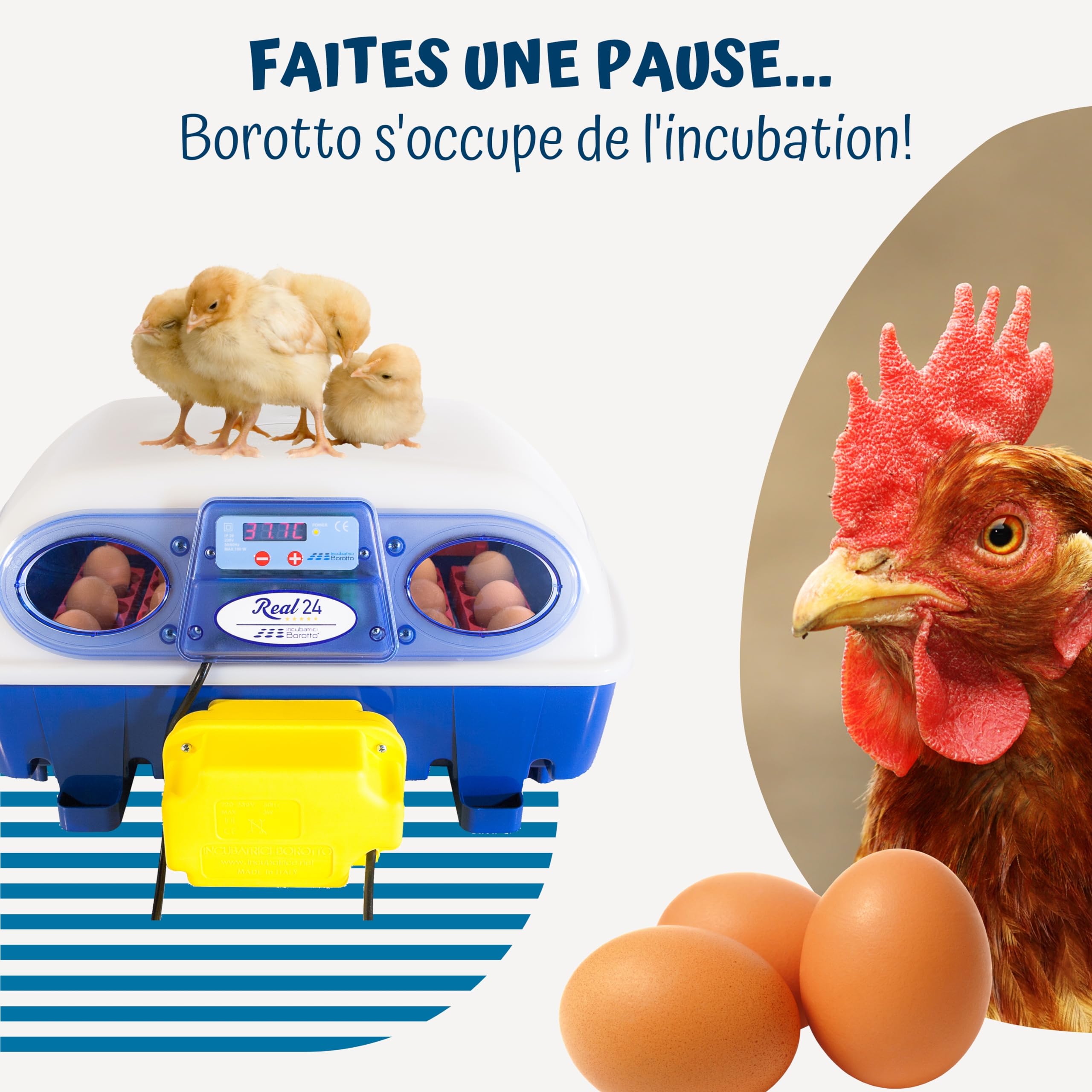 Borotto Real tourne-œufs automatique 24/49 œufs inclinaison horaire