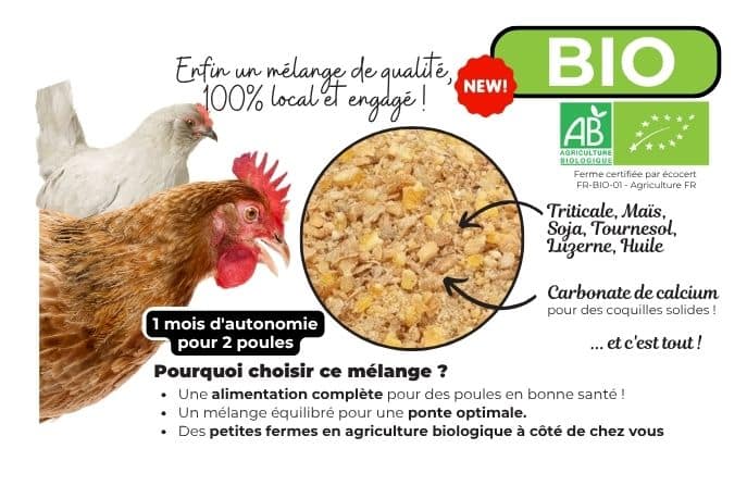 Cot Cot House Alimentation graines poules pondeuses 10kg bio
