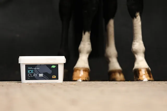 Cavalor Ice Clay argile cheval jambes 4 kg