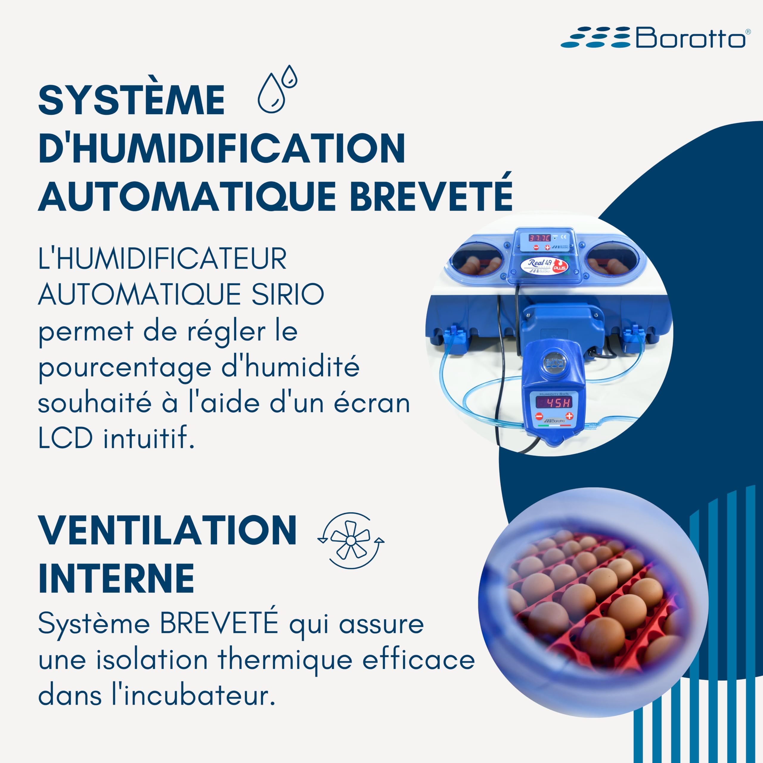 Borotto Real 49 Plus Expert couveuse 49 œufs Sirio bleue