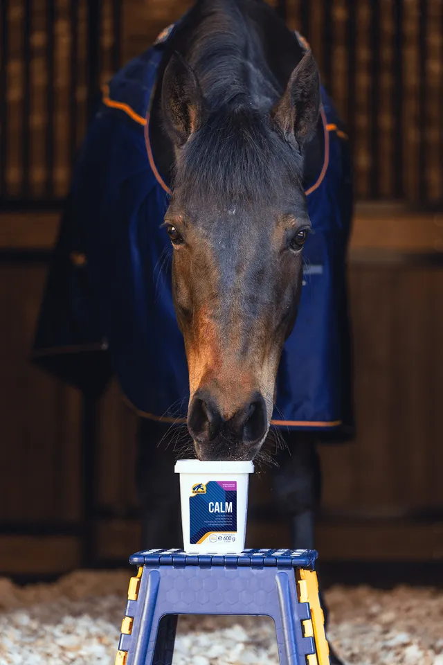 Cavalor Calm complément cheval stress 1000 ml