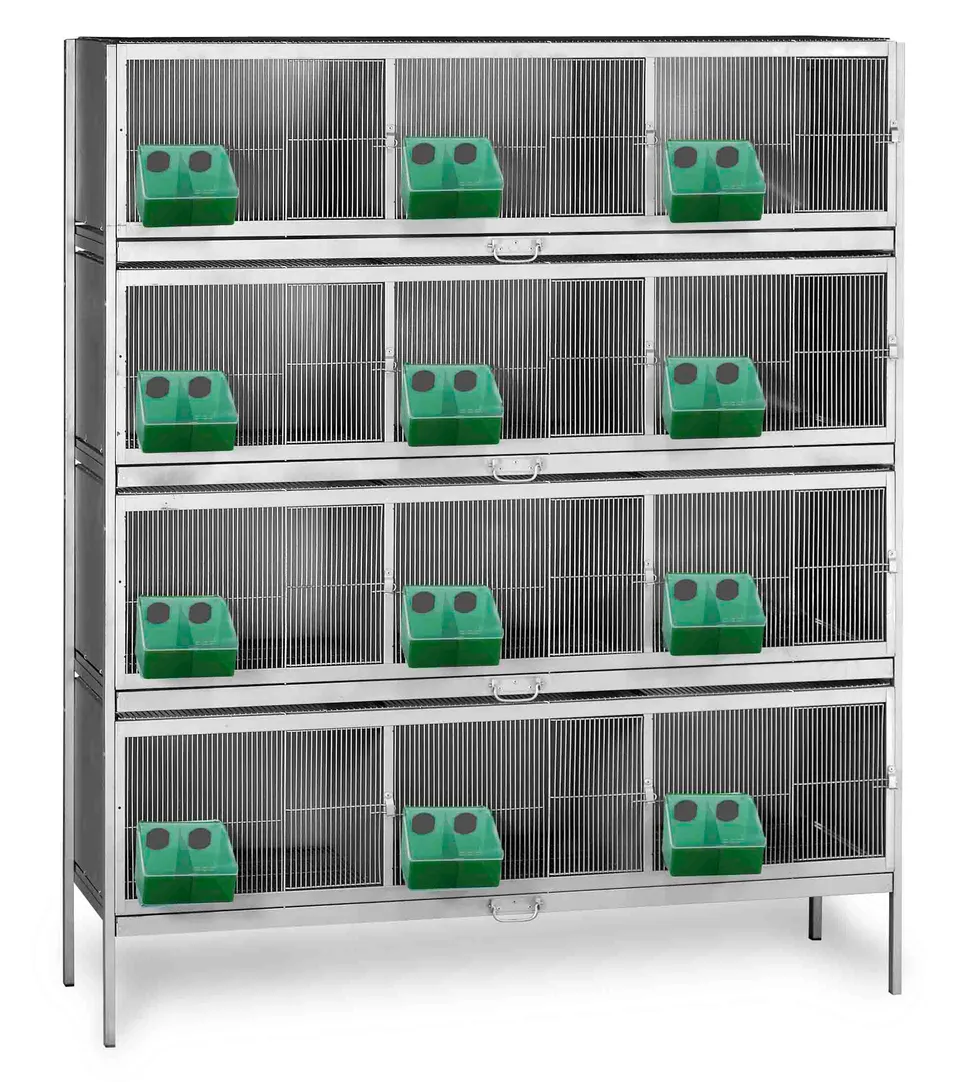 Gaun cage pigeons 12 compartiments transport