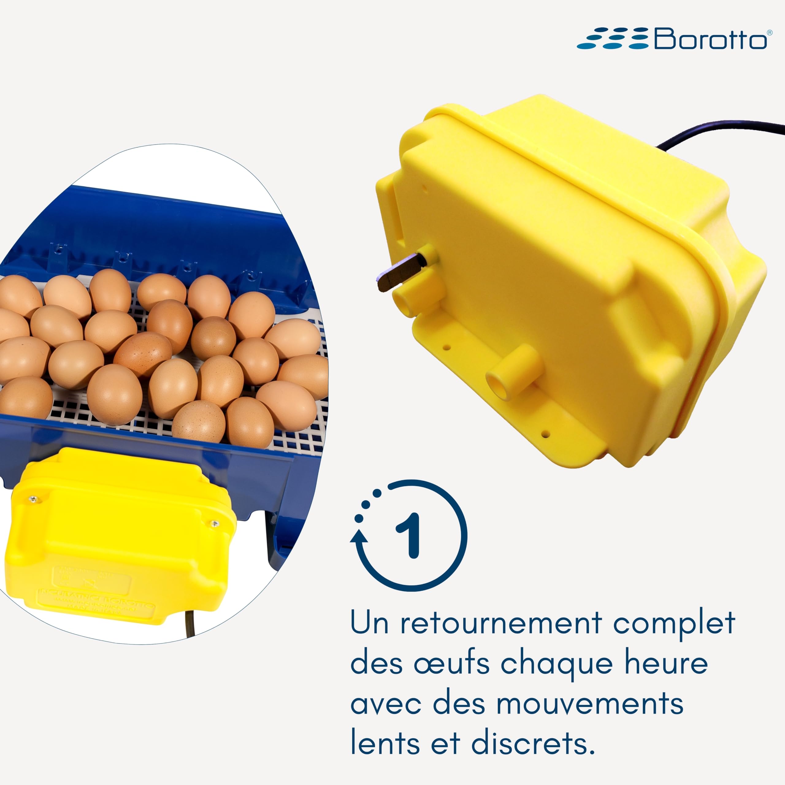 Borotto Real tourne-œufs automatique 24/49 œufs inclinaison horaire