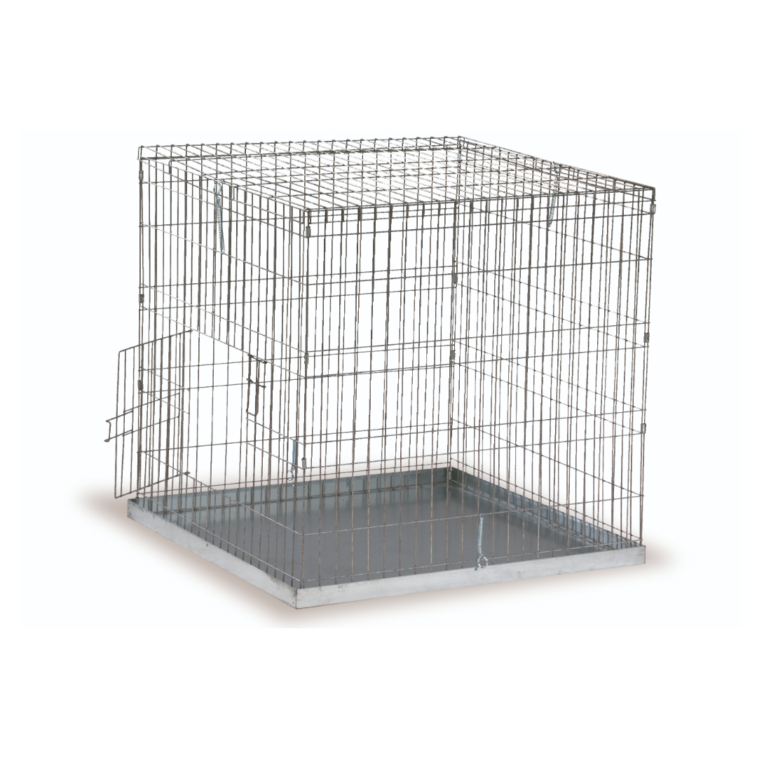 Gaun Volailles Cage Exposition Poules Medium 80x80 cm