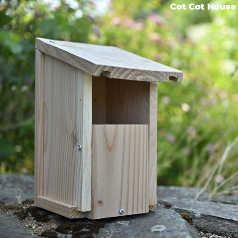 Cot Cot House Nichoir oiseaux kit rouge-gorge bois à monter