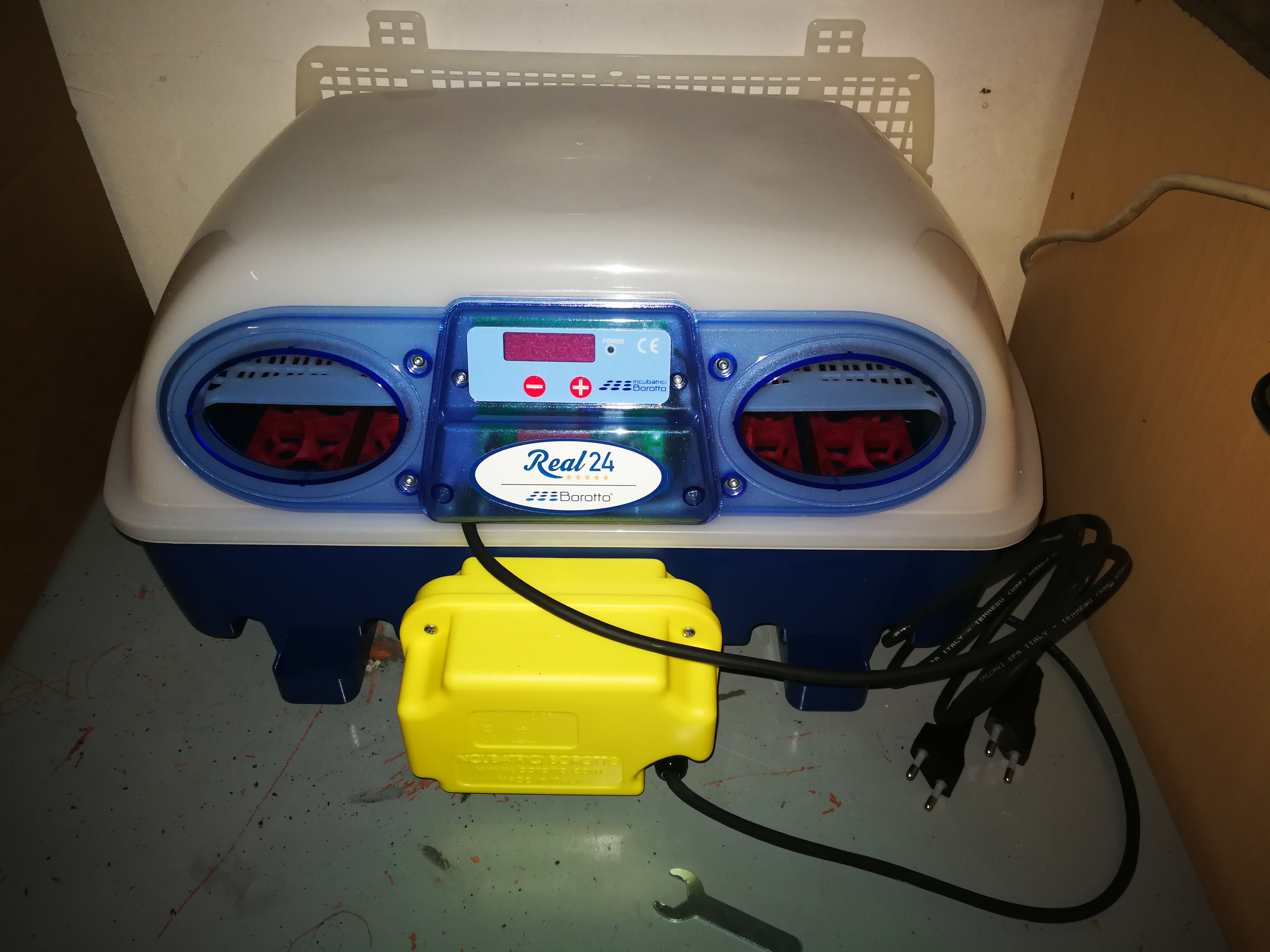 Borotto Real 24 couveuse automatique 24 œufs retournement auto