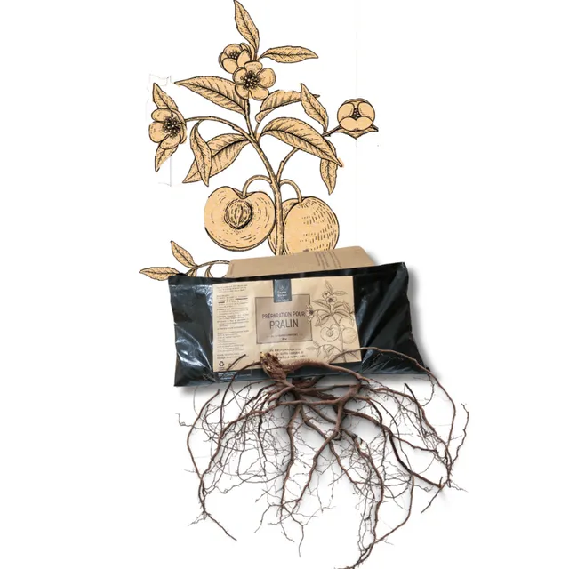 Cot Cot House Potager pralin lombricompost 1 kg baume racinaire