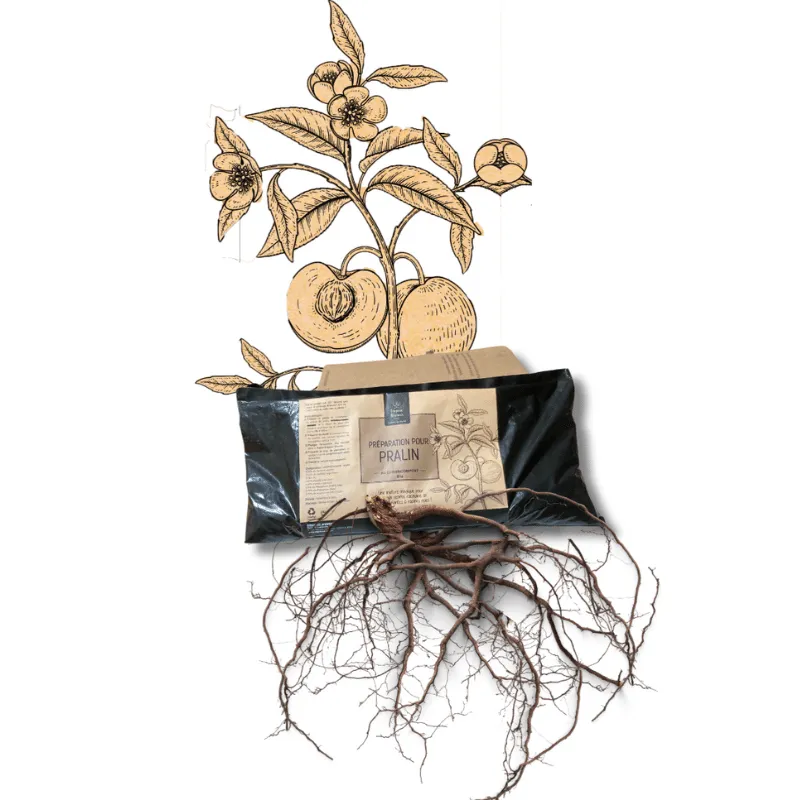 Cot Cot House Potager pralin lombricompost 1 kg baume racinaire