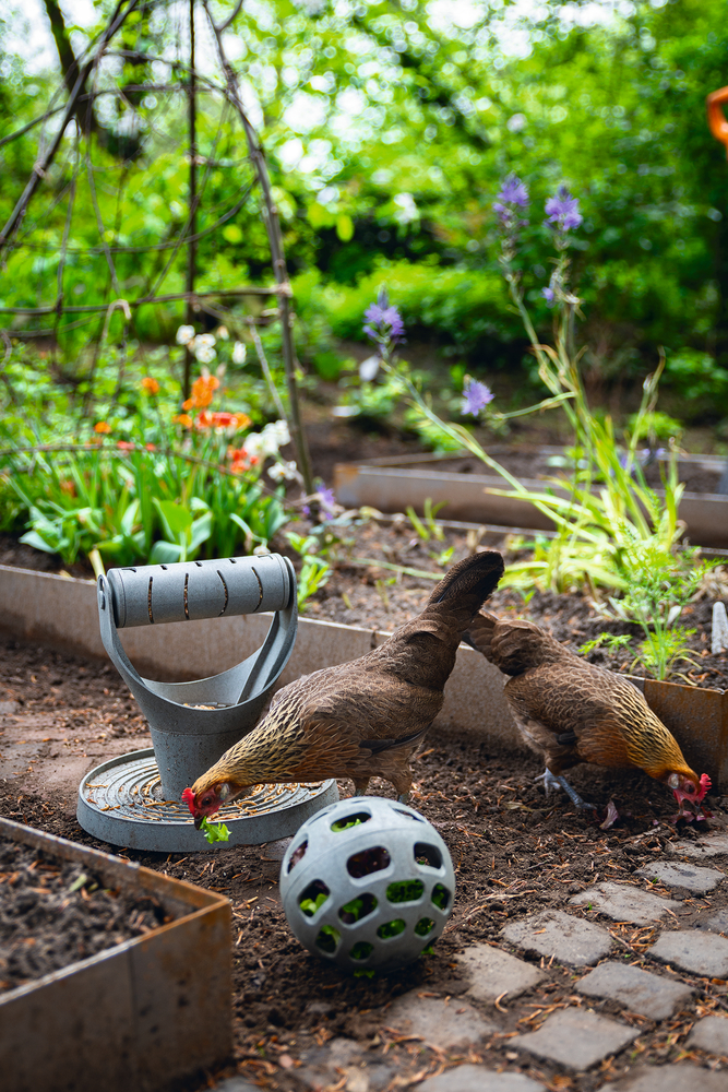 Gaun Volailles Balle Friandises Poules 100% Recyclé
