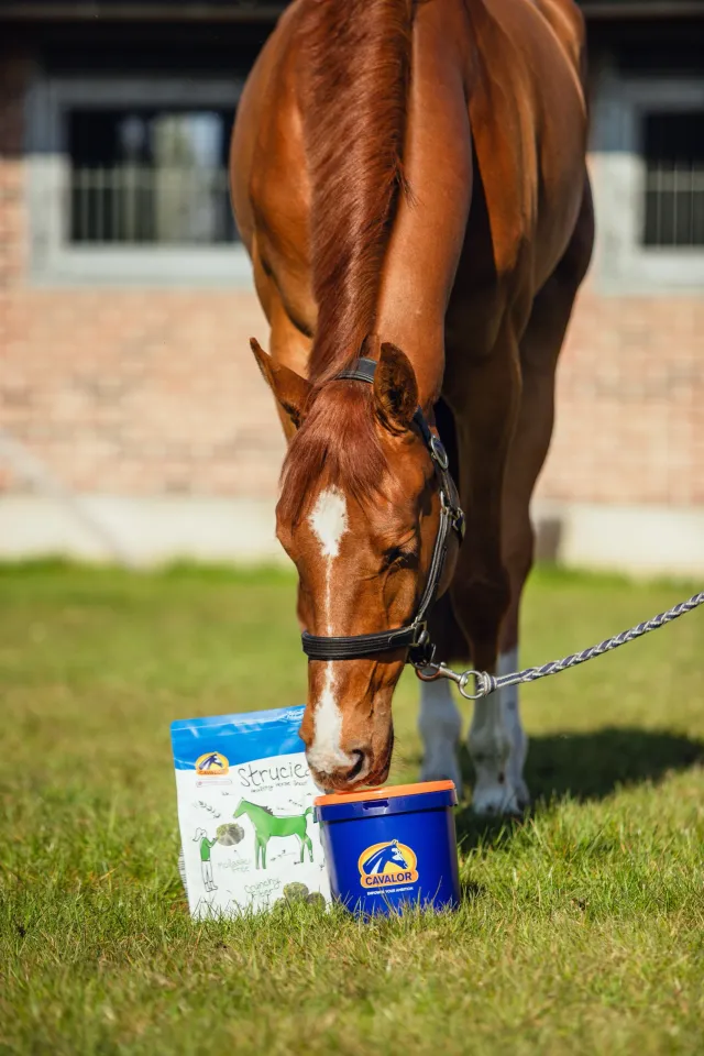 Cavalor Strucies friandise cheval herbes et fibres