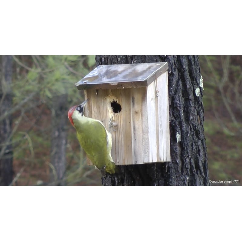 Cot Cot House ProtecPiaf Plaque Protection Nichoir Oiseaux
