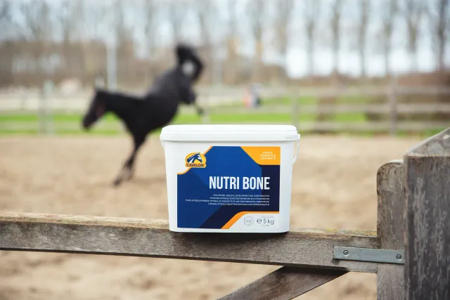 Cavalor Balancers Nutri Bone minéraux os cheval