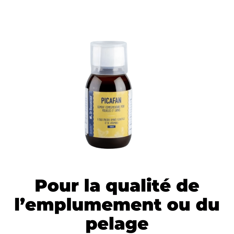 Cot Cot House PICAFAN soin plumage pelage poules