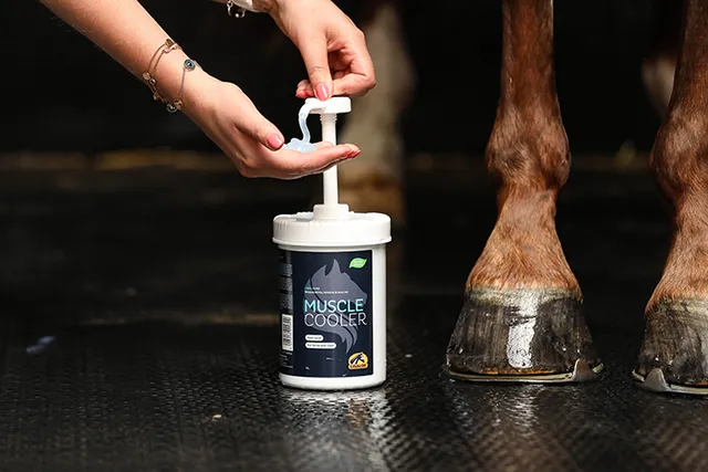 Cavalor Care Muscle Cooler gel cheval muscles
