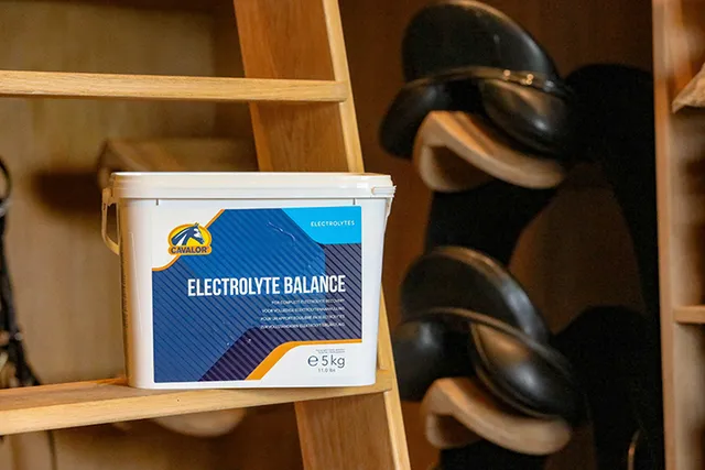 Cavalor Electrolyte Balance poudre cheval 800 g récupération