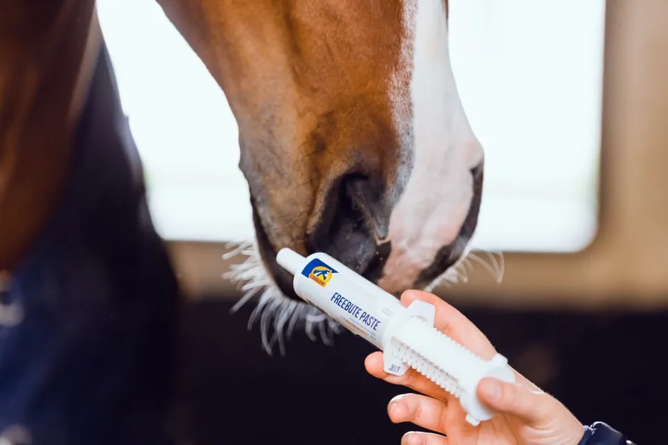 Cavalor FreeBute Paste pâte articulations cheval