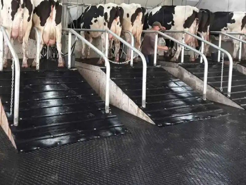 IDS RAMP revêtement rampe bétaillère caoutchouc tasseaux