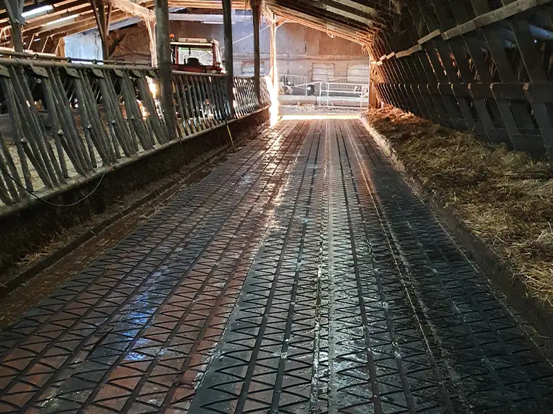 IDS Zig Zag tapis vaches caoutchouc rainuré antidérapant
