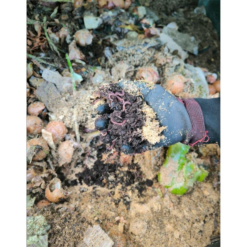 Organic Worms lombricompost fumier de vers 5 kg