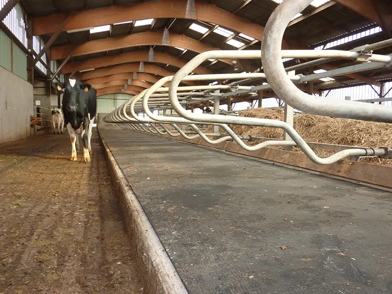IDS QUIETA ROULEAU tapis logette vache caoutchouc