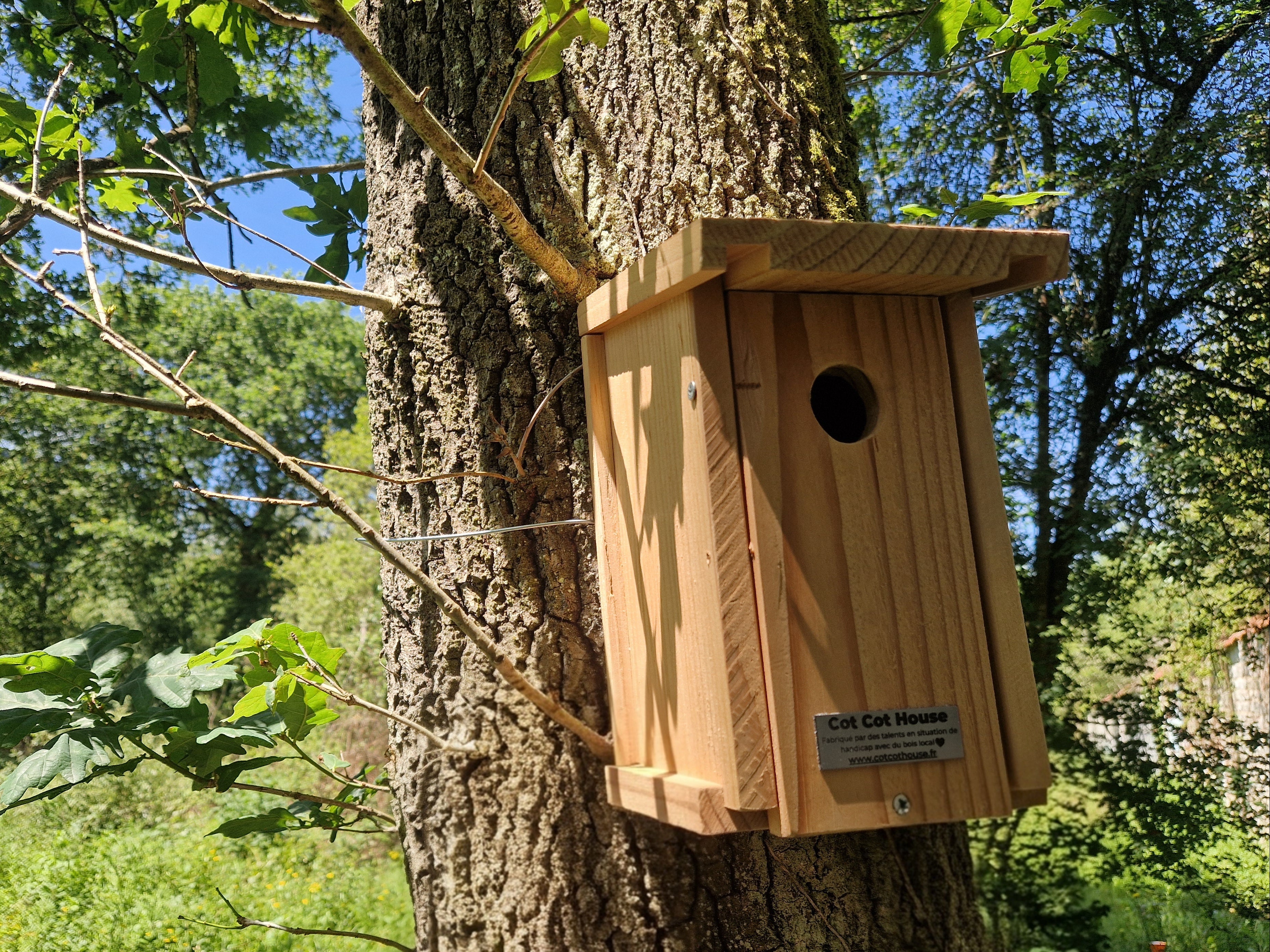 Cot Cot House Nichoir oiseaux mésanges kit bois