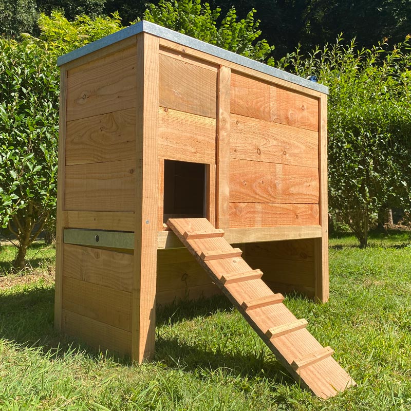 Cot Cot House Poulaillers Sebright poulailler 2 poules bois