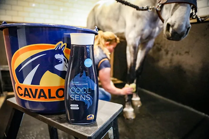 Cavalor CoolSens soin cheval rafraîchissant 500 ml