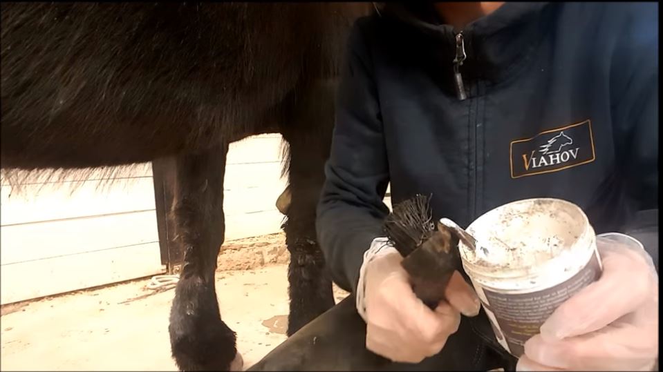 Red Horse Hoof Care Hoof-Stuff soin sabot cheval