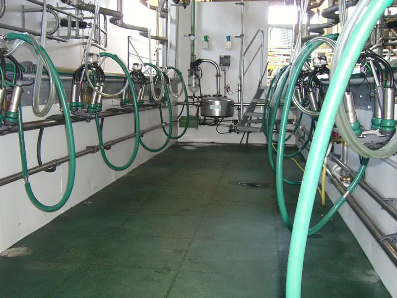 IDS IDEX dalle laiterie PVC clipsable antidérapante
