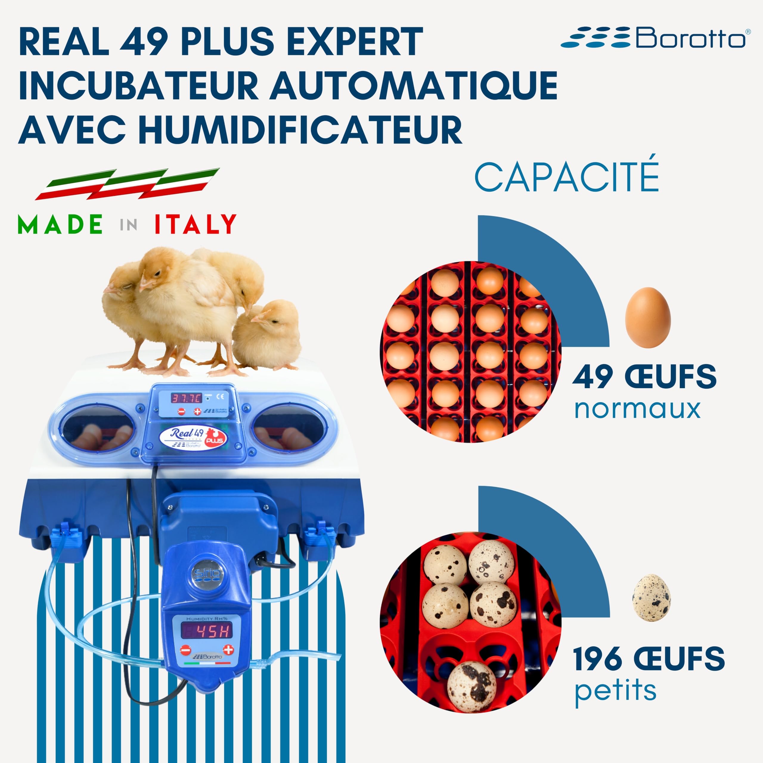 Borotto Real 49 Plus Expert couveuse 49 œufs Sirio bleue