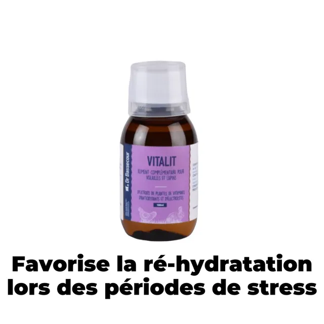 Cot Cot House VITALIT vitamines poules stress