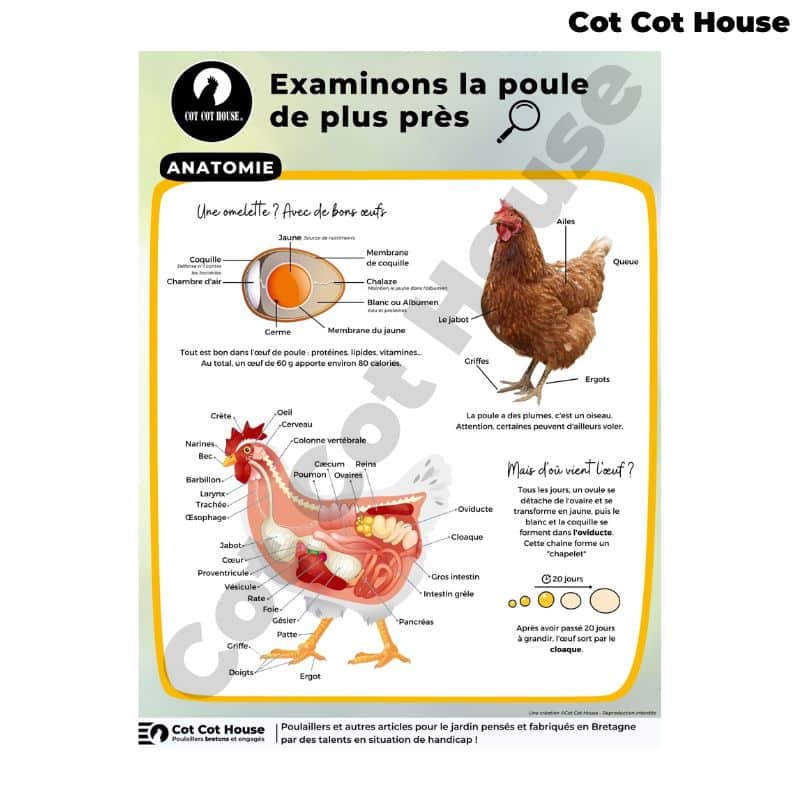Cot Cot House PA6080-ANAT panneau affichage pédagogique dibon