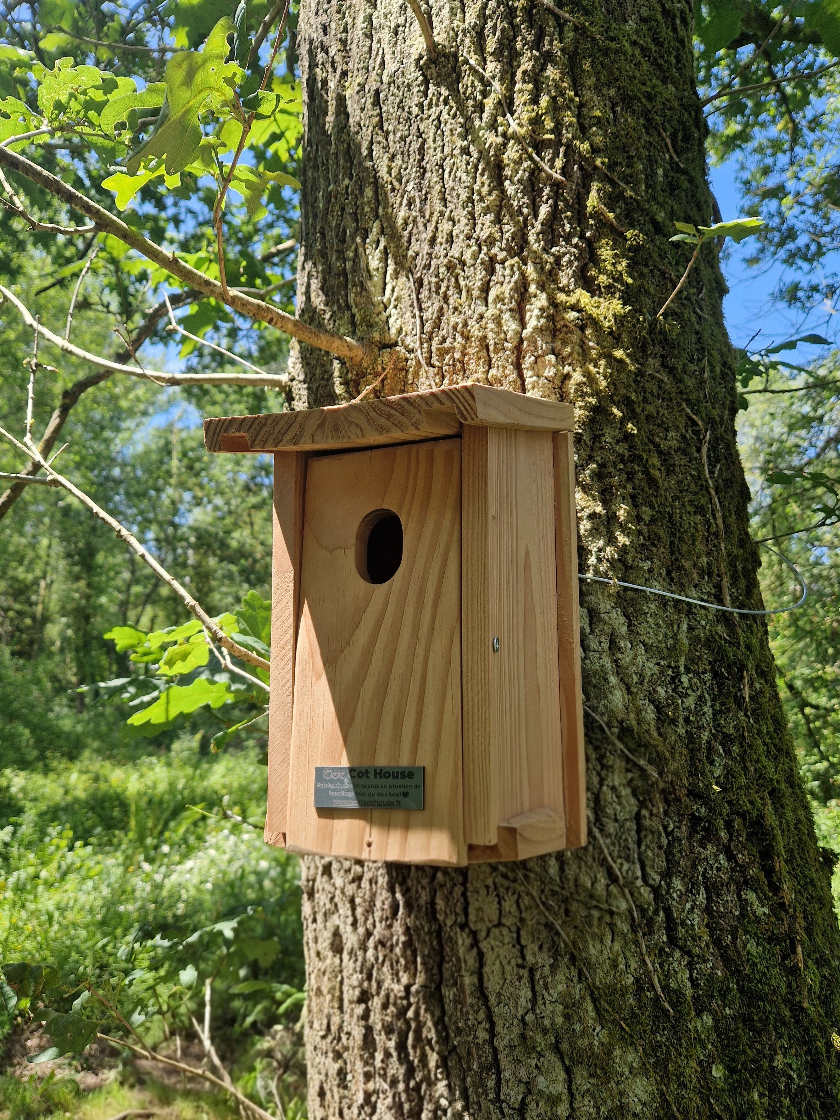 Cot Cot House nichoir oiseaux kit Rouge-Queue bois