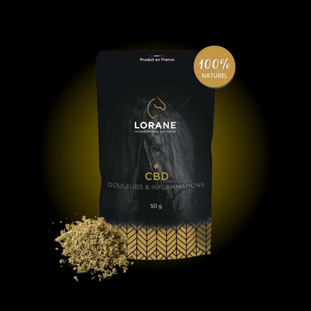Lorane CBD complément cheval calme bien-être