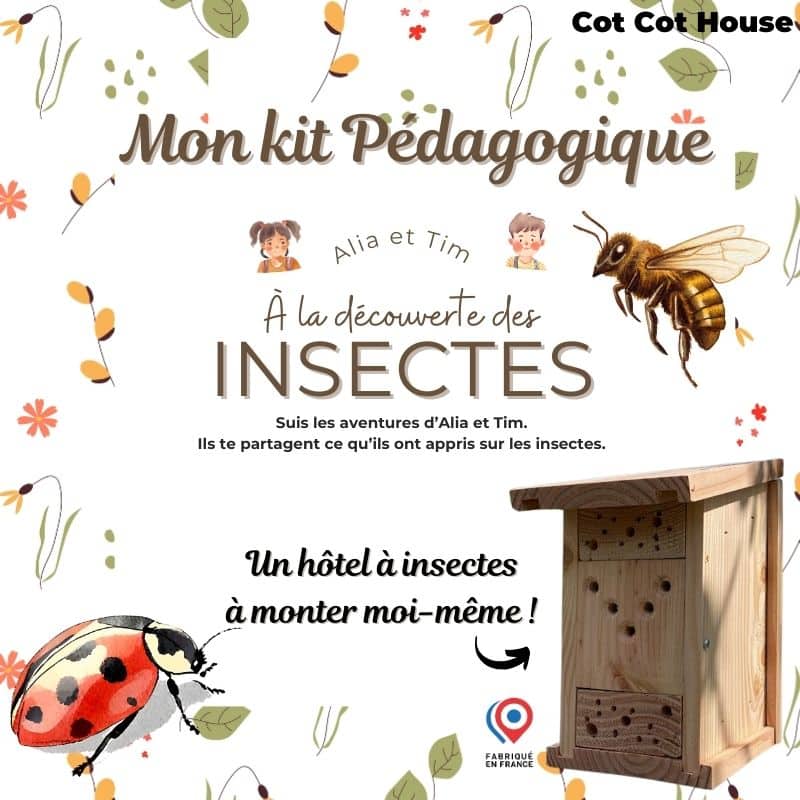 Cot Cot House Kit insectes auxiliaires hôtel à insectes + livret 16 p