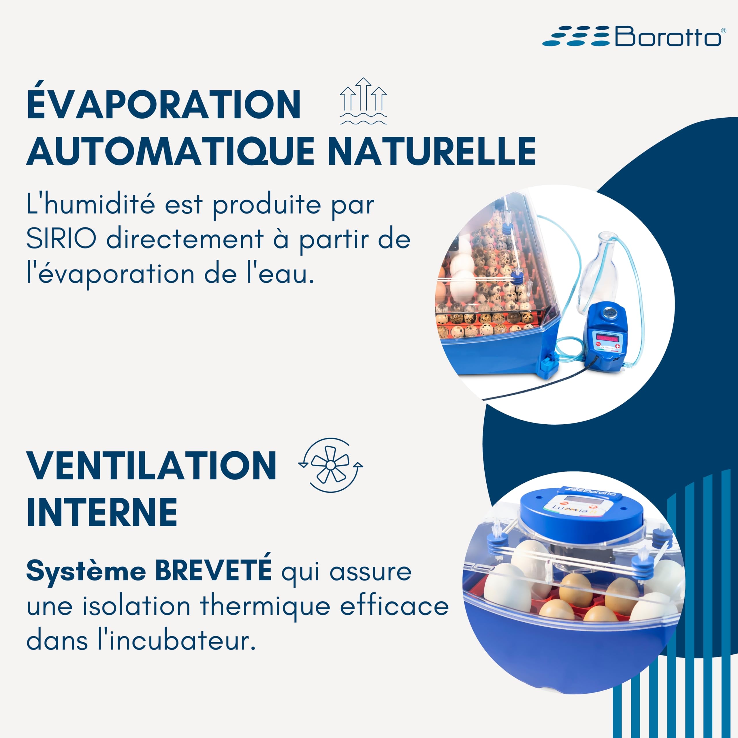 Borotto Lumia 8 Expert couveuse 8 œufs humidificateur Sirio