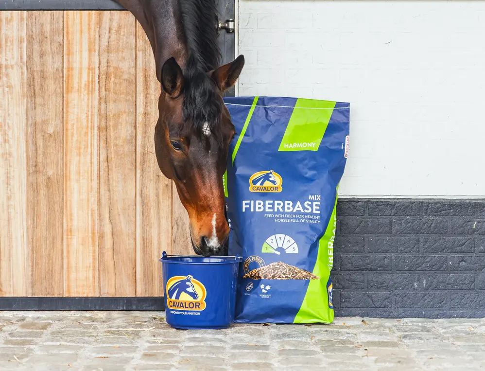 Cavalor FiberBase Mix aliment fibres cheval 15 kg