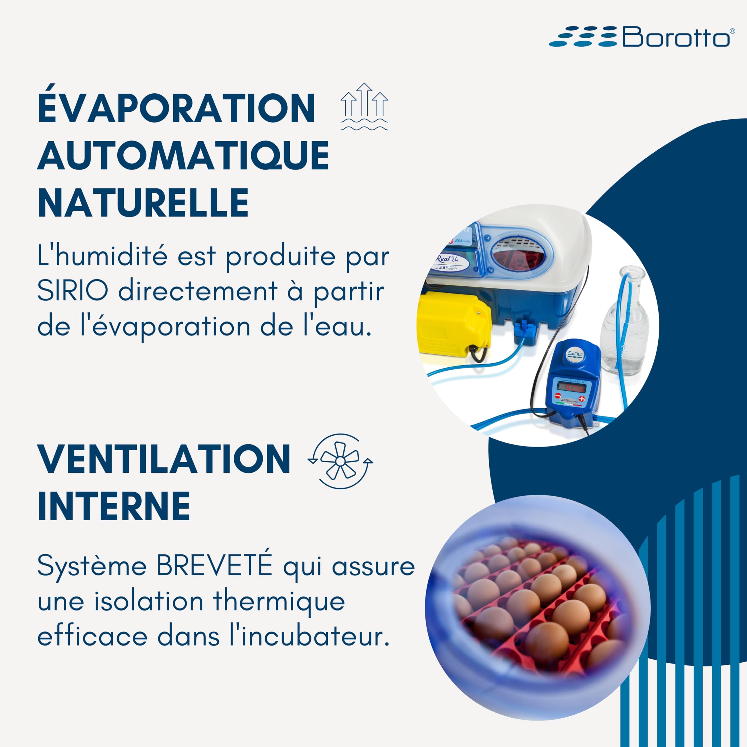 Borotto Real 24 Expert couveuse 24 œufs humidificateur Sirio