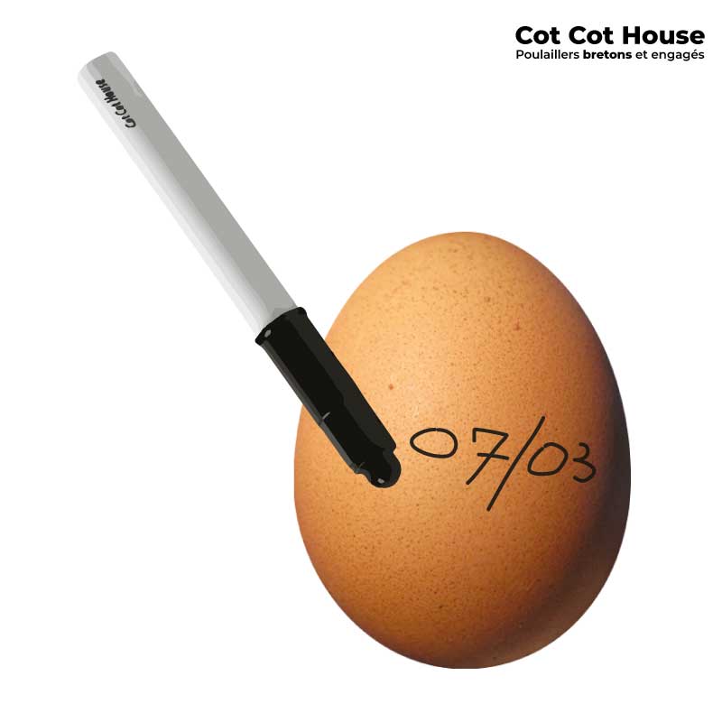 Cot Cot House Stylo Feutre Alimentaire Noir Spécial Oeuf