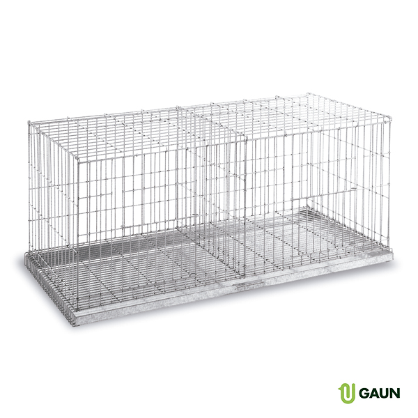 GAUN Pigeons cage exposition 2 compartiments